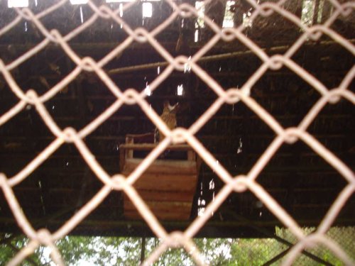 DSC03746_1